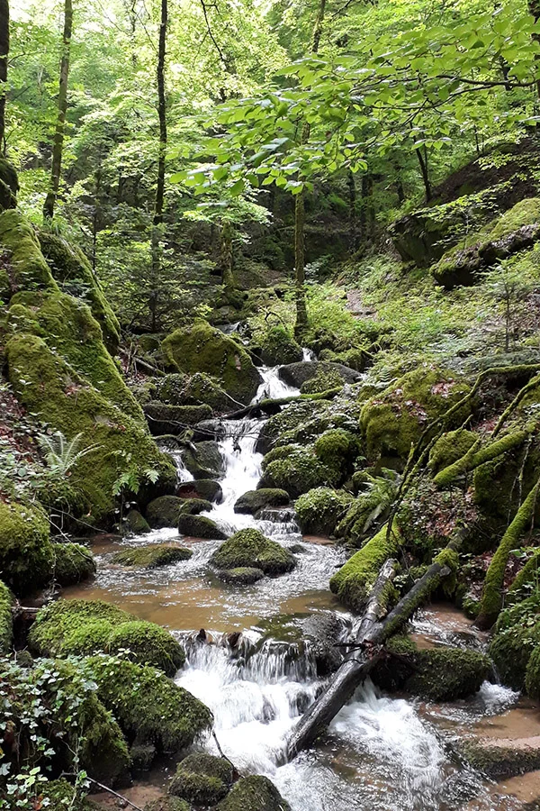 Höllschlucht Höllschlucht