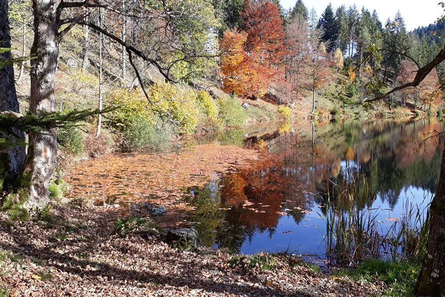 Nonnenmatt Weiher Nonnenmatt Weiher