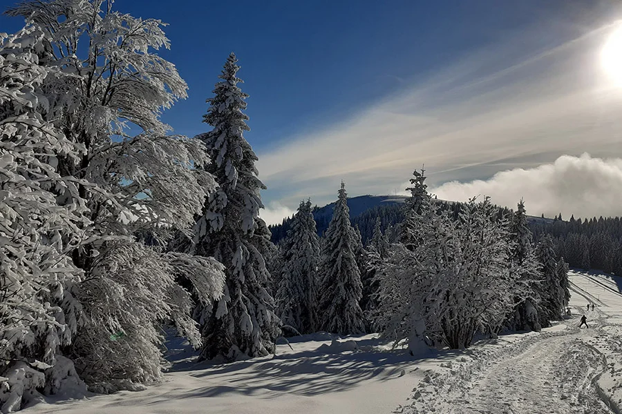 Blick von Grafenmatt auf Herzogenhorn Blick von Grafenmatt auf Herzogenhorn