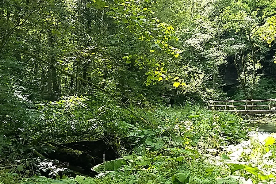 Wutachschlucht Wutachschlucht