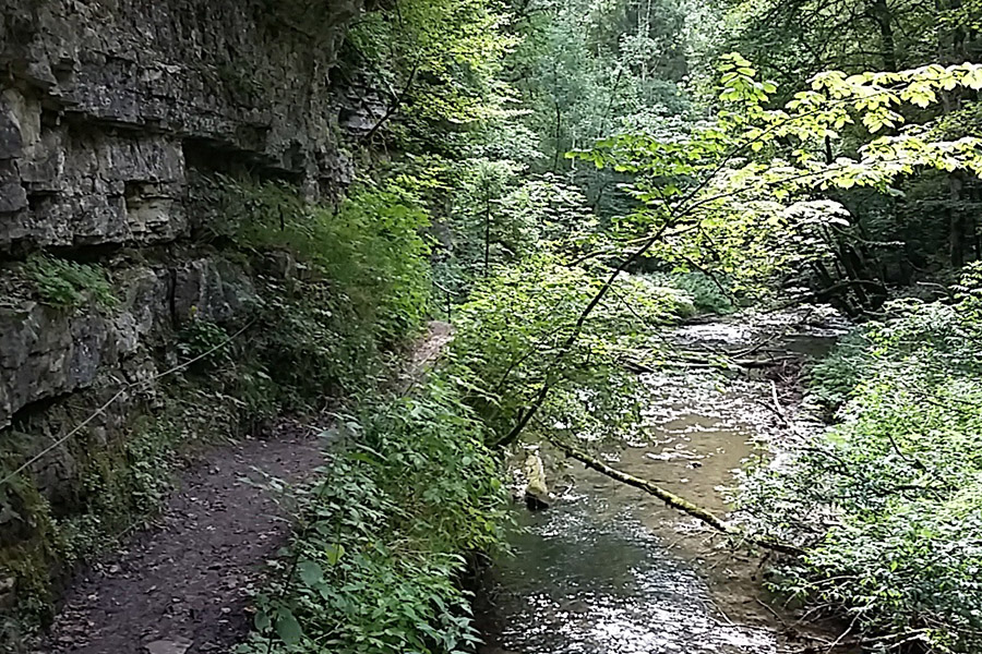 Wutachschlucht