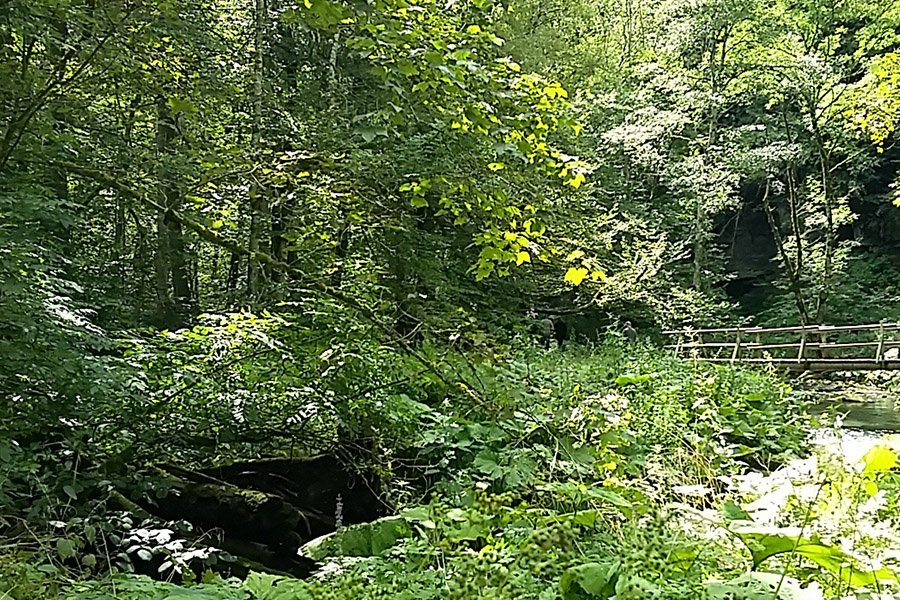 Wutachschlucht