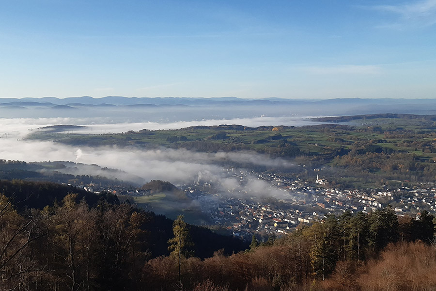 Aussicht Bärenfels